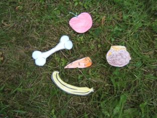 medovnikova_chalupa2