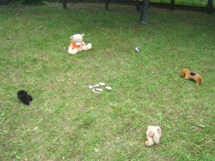 medovnikova_chalupa3