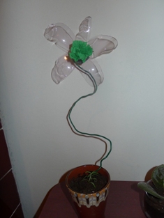 kvet flasa 3