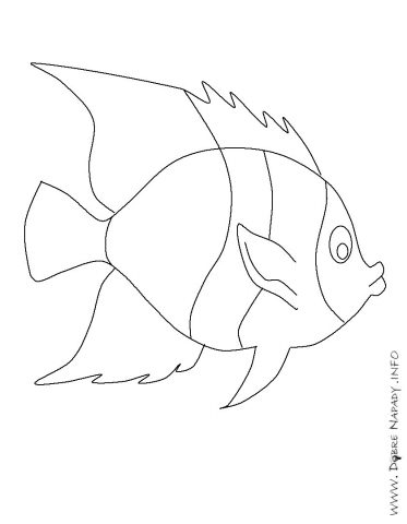 Ryba na p