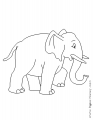 Slon
