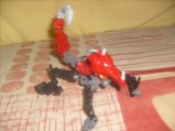 skorpion_8